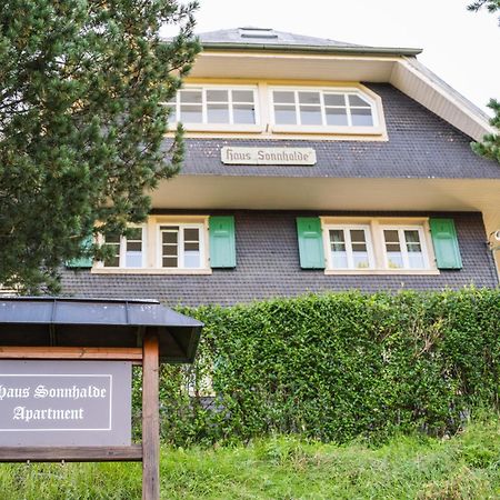 Vista Todtnauberg 2 Apartment Екстериор снимка