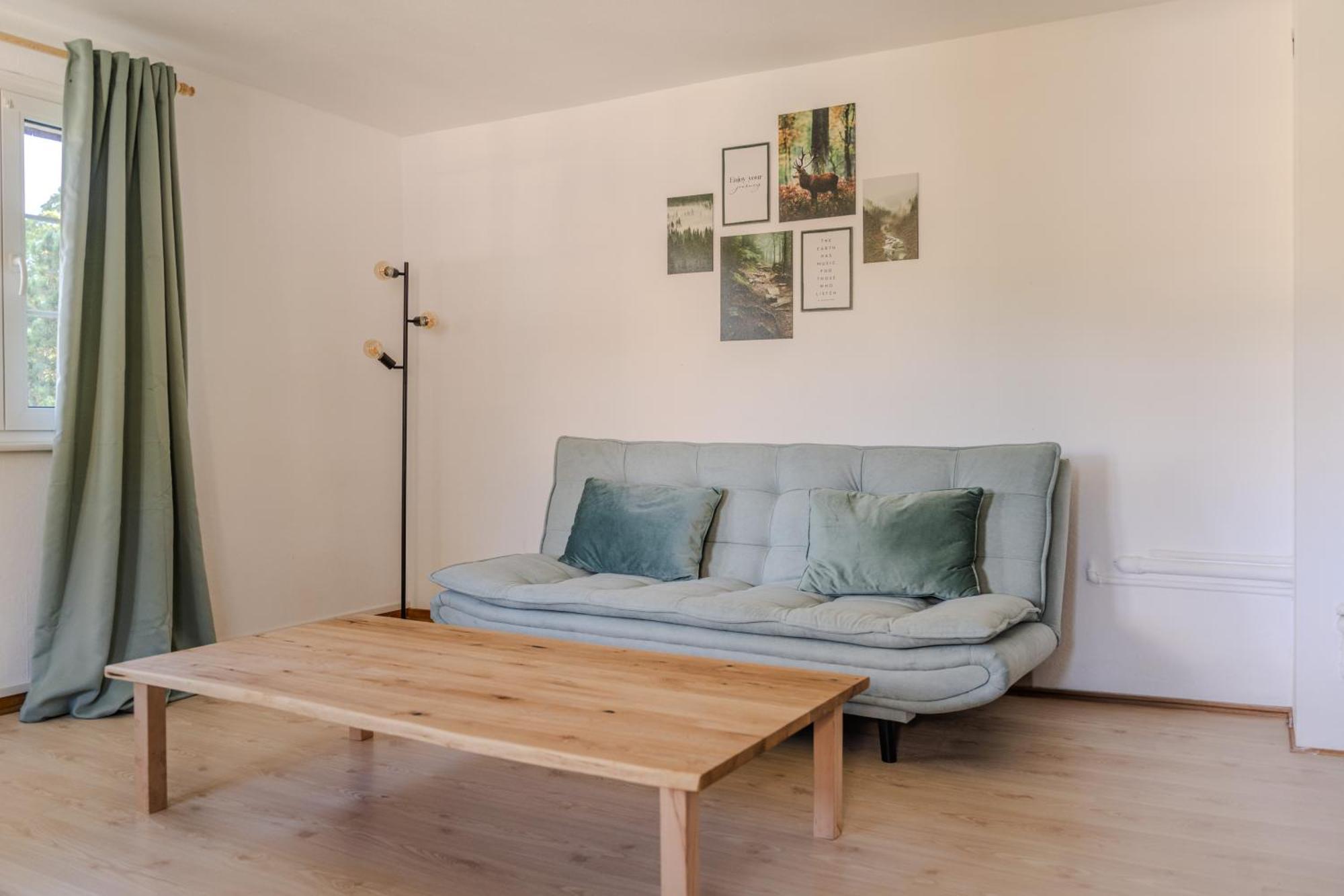 Vista Todtnauberg 2 Apartment Екстериор снимка